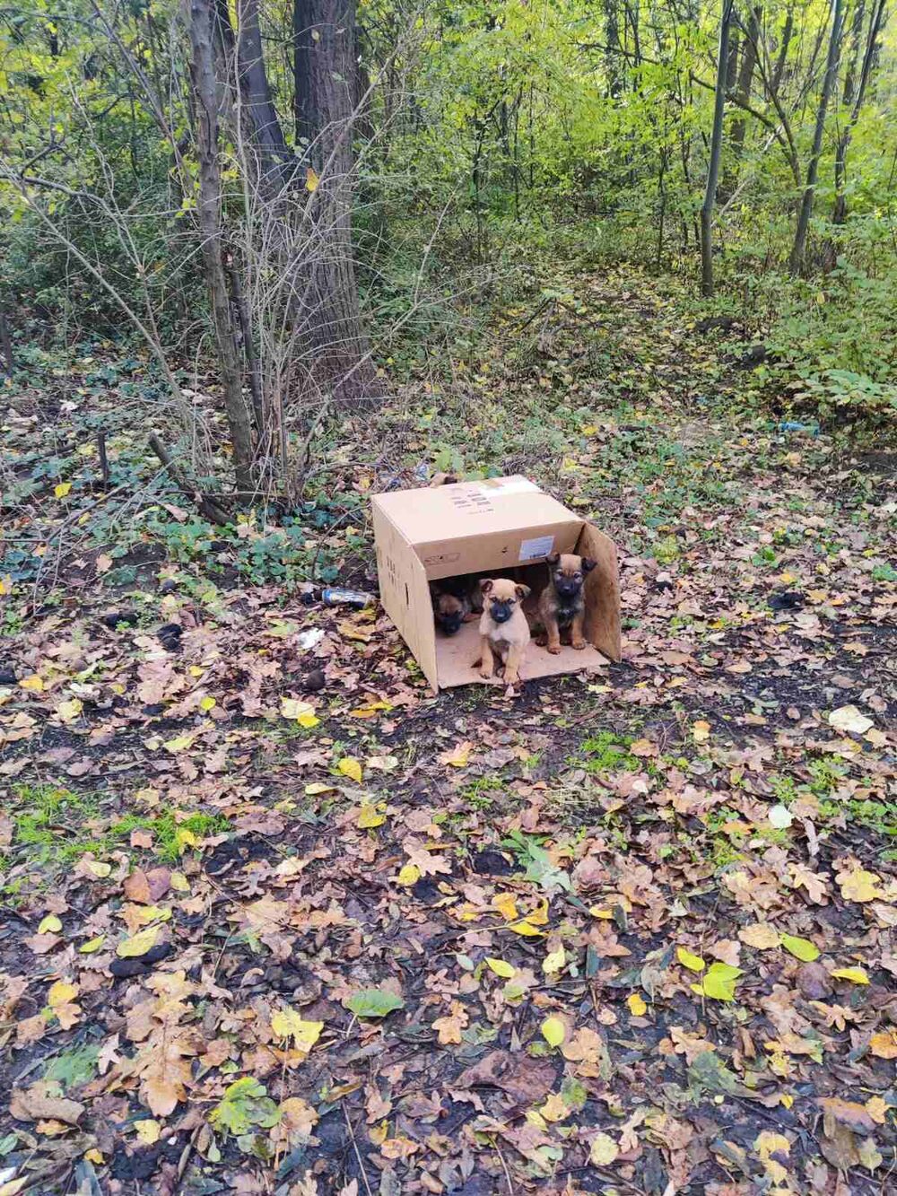 Mesto gde ih je Lidija našla