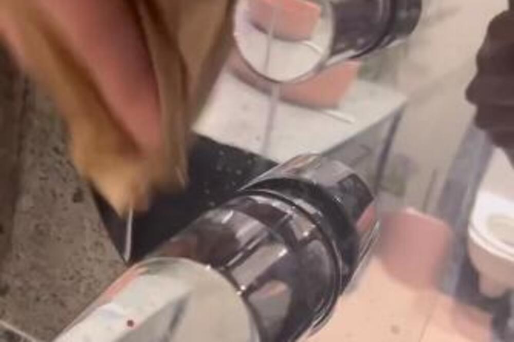 OTARASITE SE KAMENCA JEDNOM ZAUVEK BEZ IJEDNOG PROIZVODA: Potreban vam je samo PAPIR - genijalna caka (VIDEO)