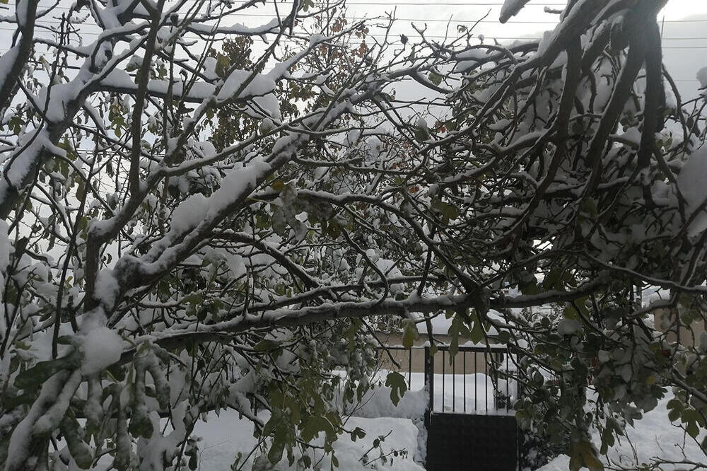 SRBIJA I DALJE OKOVANA SNEGOM! Nadležni na terenu, spaseno 34 ljudi iz kandži NEVREMENA (VIDEO)