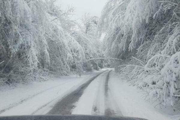 U OVIM DELOVIMA SRBIJE JE I DALJE VANREDNA SITUACIJA: Sneg napravio HAOS, bez struje 200 domaćinstava kod Knjaževca