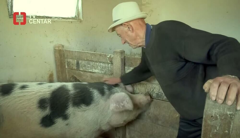 Dobrivoje Antonijević