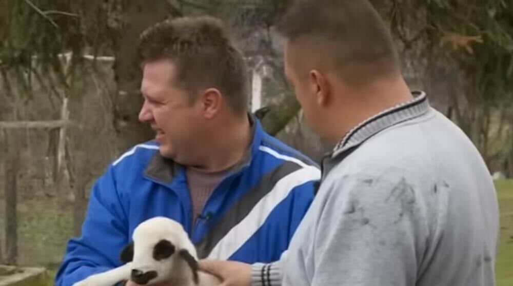 Braća Zoran i Draža