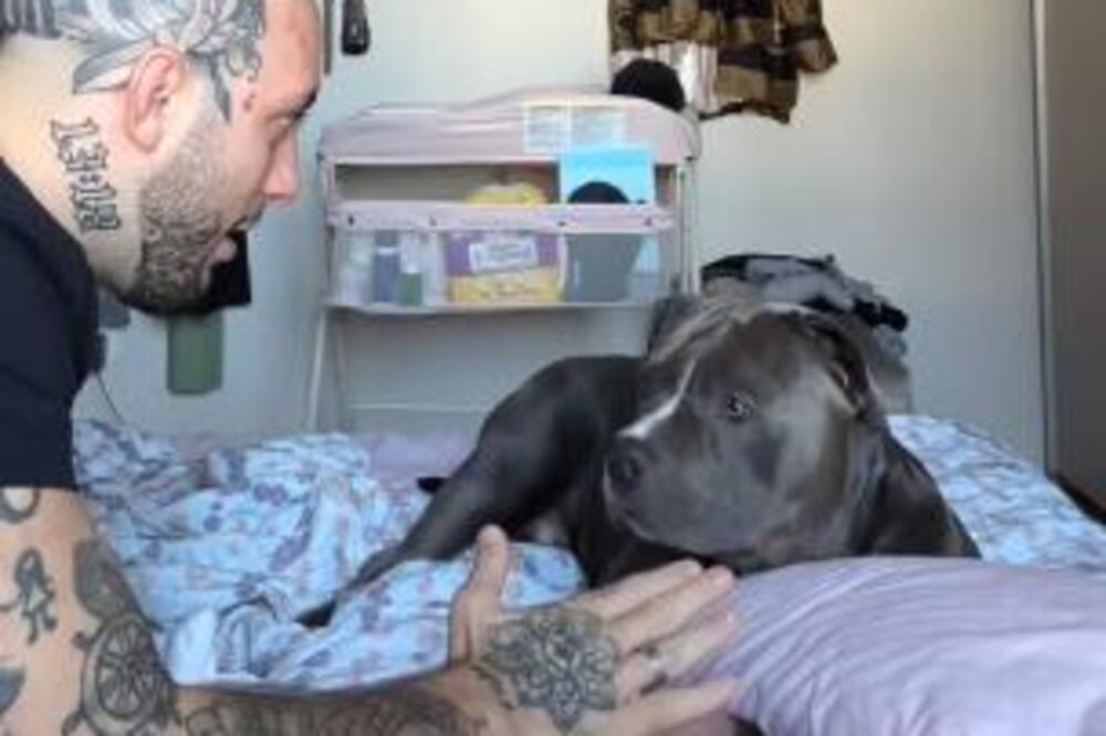 POKUŠAO JE DA UDARI BEBU PRED PSOM I SVE SNIMIO: Ono što se desilo DVE SEKUNDE KASNIJE baciće vas u NEVERICU