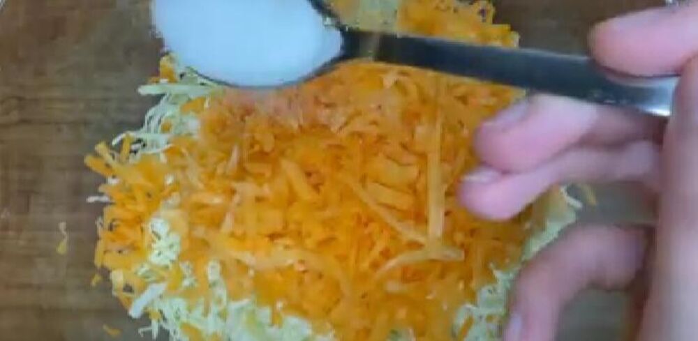 Šargarepa i kupus u činiji