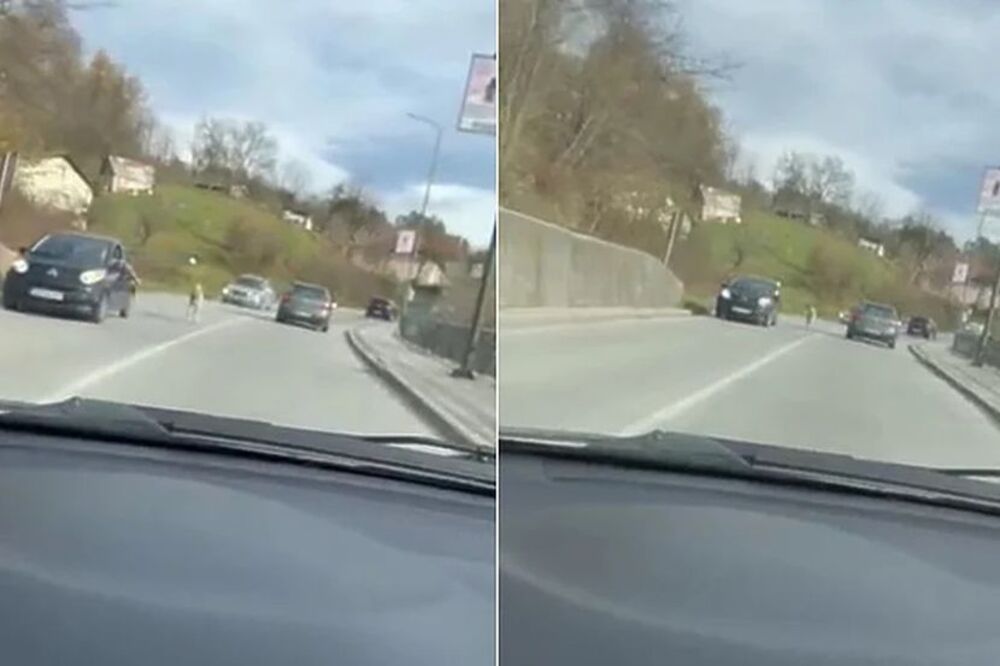 PAS TRČAO ZA AUTOMOBILOM, DOK GA JE VLASNIK DRŽAO NA POVOCU: Jeziv prizor u Sarajevu, gde će im DUŠA? (VIDEO)