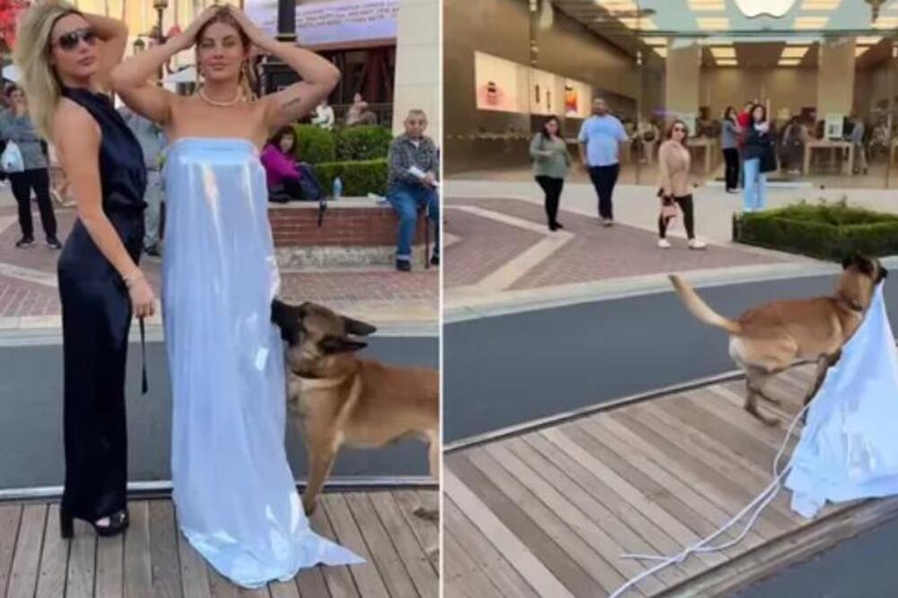 NEPOZNAT VUČJAK PRIŠAO DEVOJCI NA SRED ULICE I SKINUO JOJ HALJINU: Sirotica je u GAĆICAMA trčala za njim (VIDEO)