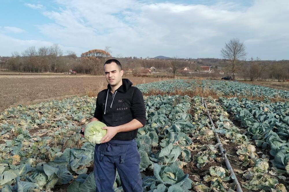 KUPUS PRVO NA KUĆNI PRAG PA PRAVAC U BURE: Mladi povrtar Uroš ima HIT DOSTAVU U ČAČKU, ovo još niste videli! (FOTO)