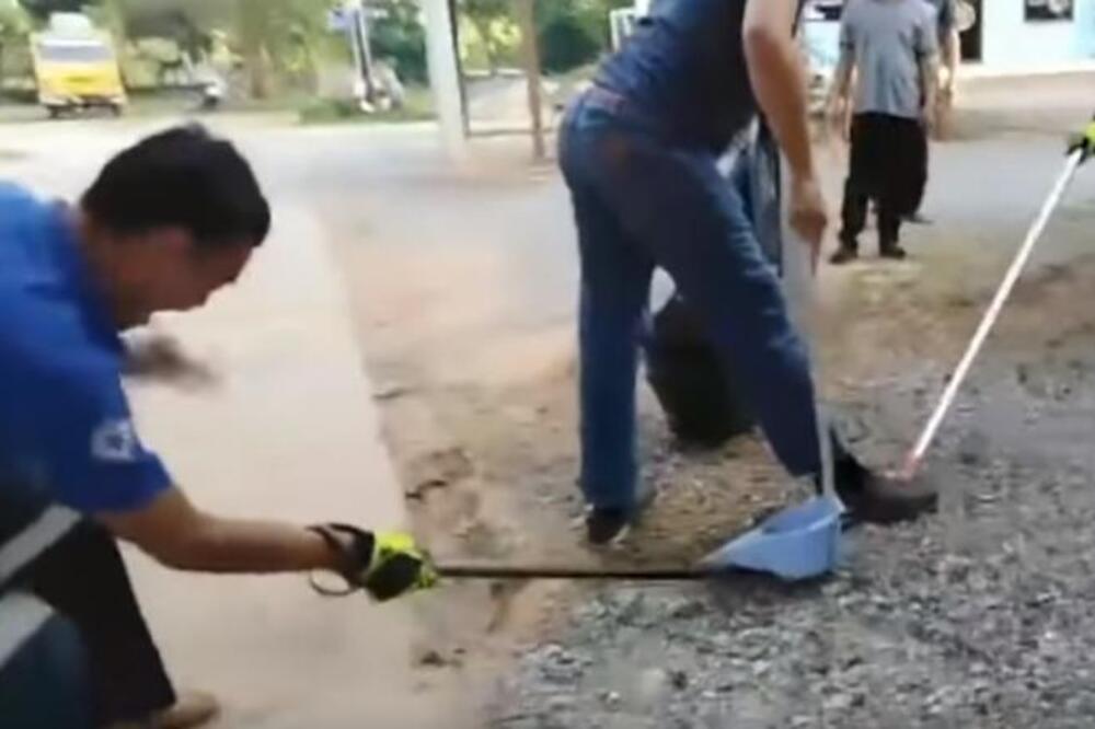 HVATALI SU ZMIJU, A ONDA JE ON REŠIO DA SE NAPRAVI PAMETAN: Zbog onoga što je usledilo, svi su pretrnuli u mestu