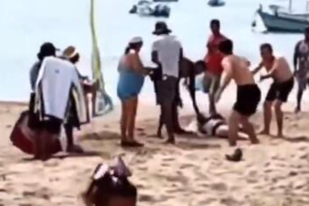 MARIJU RASTRGLA AJKULA DOK JE POKUŠAVALA DA SPASI ĆERKU! Nije joj bilo SPASA, gubitak krvi je bio FATALAN (VIDEO)