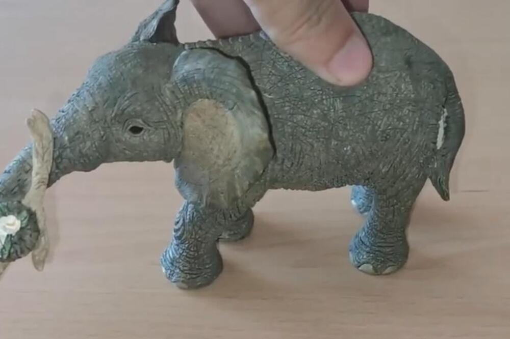 POGREŠNO DRŽITE FIGURICU SLONA U KUĆI: Stručnjak otkrio da li bi trebalo da bude okrenuta KA VRATIMA ili OD NJIH