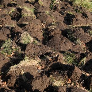 Kopao crve u zemlji, pa pronašao ovo! Kao manijak je sklanjao zemlju i postajao sve luđi zbog onog u šta je gledao