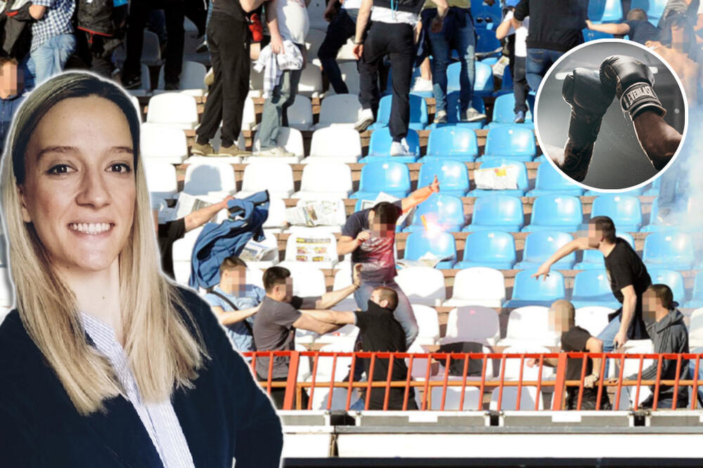 ADVOKATICA O KAŽNJAVANJU NASILNIKA POPUT PASTORKA DIDI JANKOVIĆ! U slučaju NAVIJAČA postoje POSEBNE STAVKE U ZAKONU