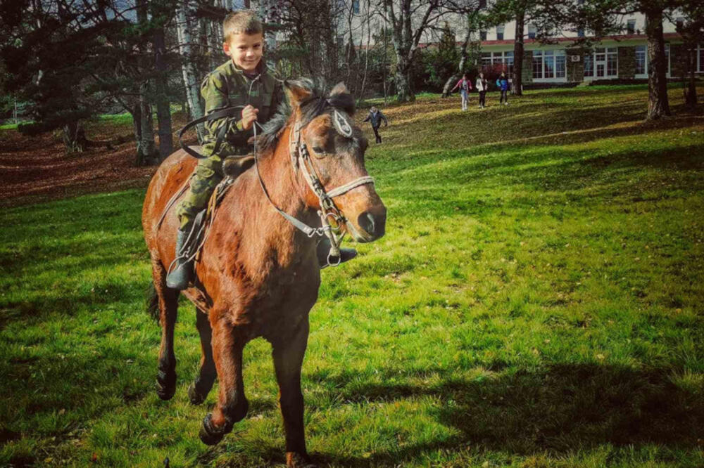 MILOŠU (6) IZ OKOLINE ARILJA KONJ ČARLI JE NAJBOLJI PRIJATELJ: Sa njim ide do PREDŠKOLSKOG, ali i na Štraparijade