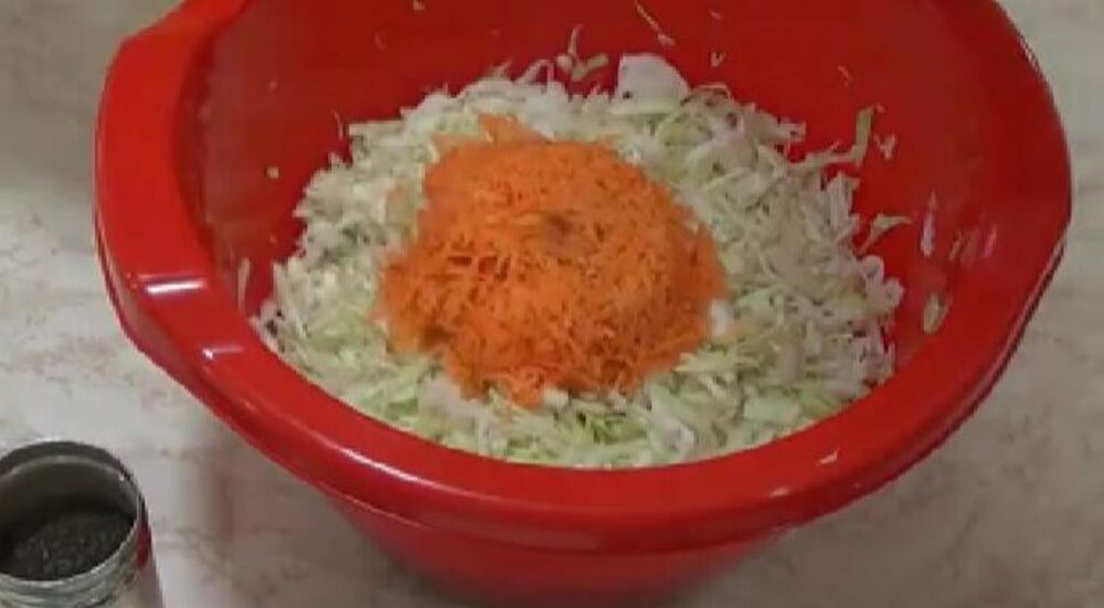 Kupus i šargarepa u činiji