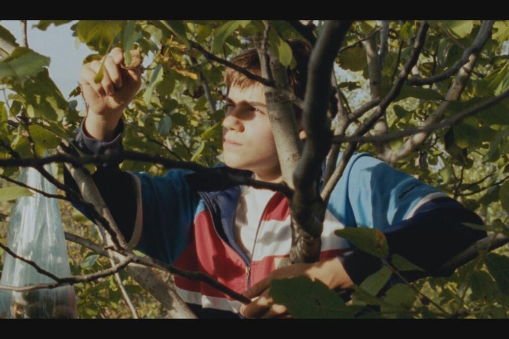 Srpski film „Lost Country“ u finalu Arab Critics Awards: Film domaće produkcije među tri najbolja filma