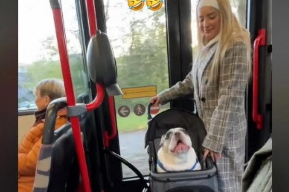 UŠLA JE U AUTOBUS SA PSOM I SVI SU ZANEMELI! PUTNICI se OKRETALI kada su videli ŠTA RADI SA...