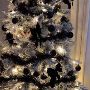 Ako jelku okitite na ovaj dan čeka vas BLAGOSTANJE? Veliki SVETAC se slavi baš tog datuma - OBRATITE PAŽNJU NA OVO