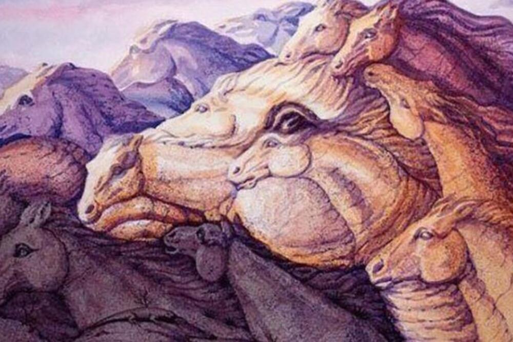 DOBRO POGLEDAJTE SLIKU I RECITE KOLIKO KONJA VIDITE: Vaš odgovor otkriva ŠTA VAM JE U PODSVESTI, morate da znate