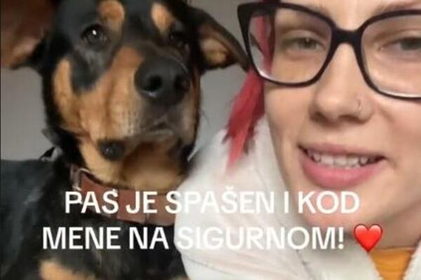 OGLASILA SE I AMBULANTA IZ BORČE U KOJOJ UMALO DA USPAVAJU ZDRAVOG PSA: Naslednici su OVO naveli kao razlog!