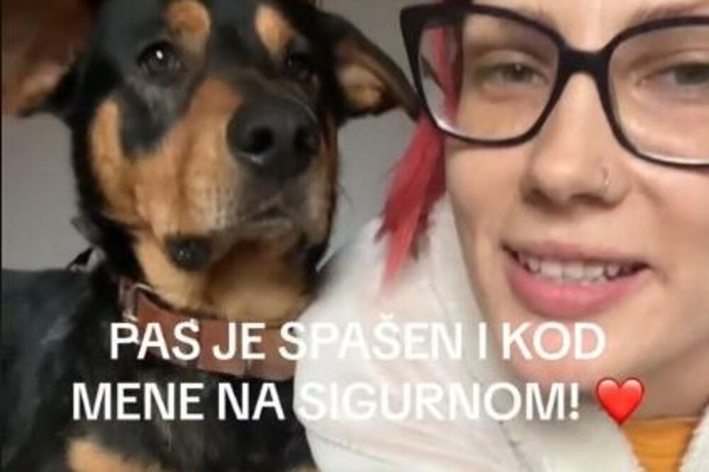 OGLASILA SE I AMBULANTA IZ BORČE U KOJOJ UMALO DA USPAVAJU ZDRAVOG PSA: Naslednici su OVO naveli kao razlog!