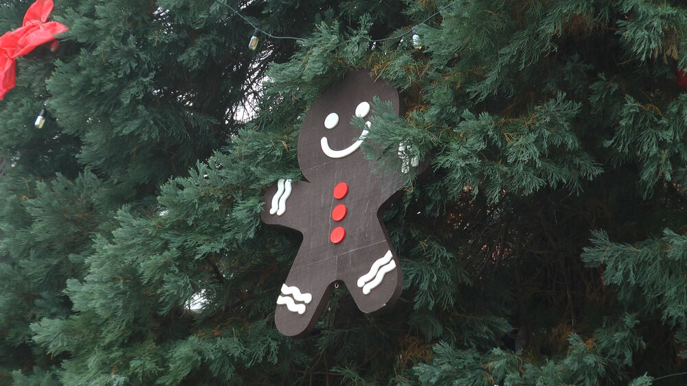 ARilje, Nova godina, Fića