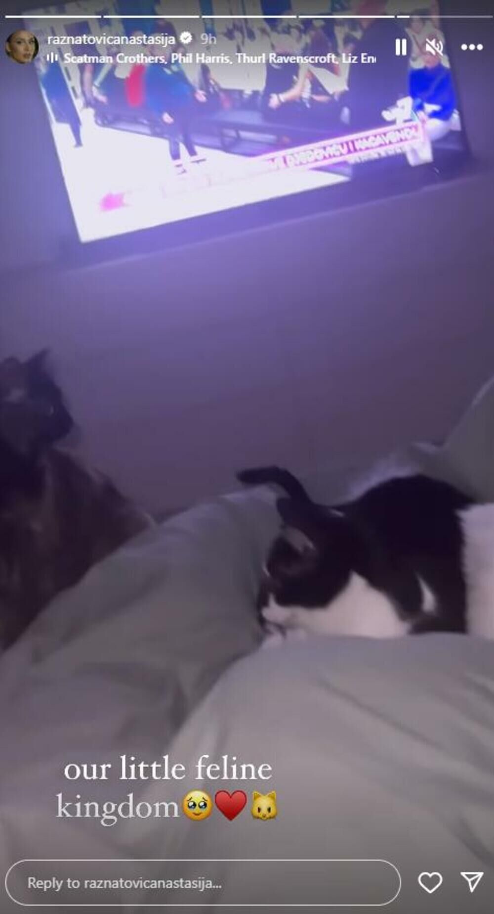 Pored nje u krevetu leži čak pet mačaka o kojima se fudbaler i ona brinu