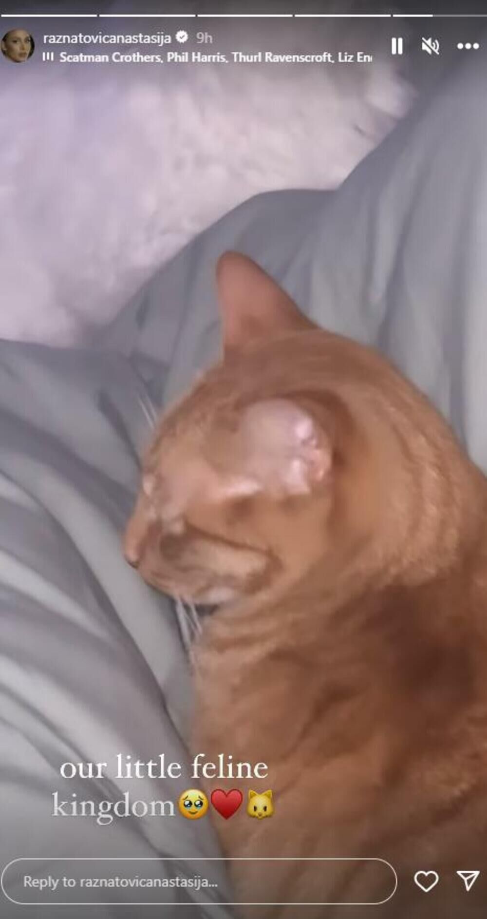 Anastasija Ražnatović uživa u Sevilji u Španiji sa svojim mužem