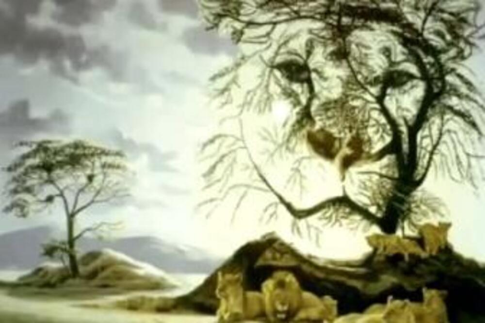 ONO ŠTO PRVO UGLEDATE NA SLICI OTKRIĆE VAM KAKO VAS DRUGI LJUDI VIDE: Da li vam se DIVE ili vas MRZE? (VIDEO)