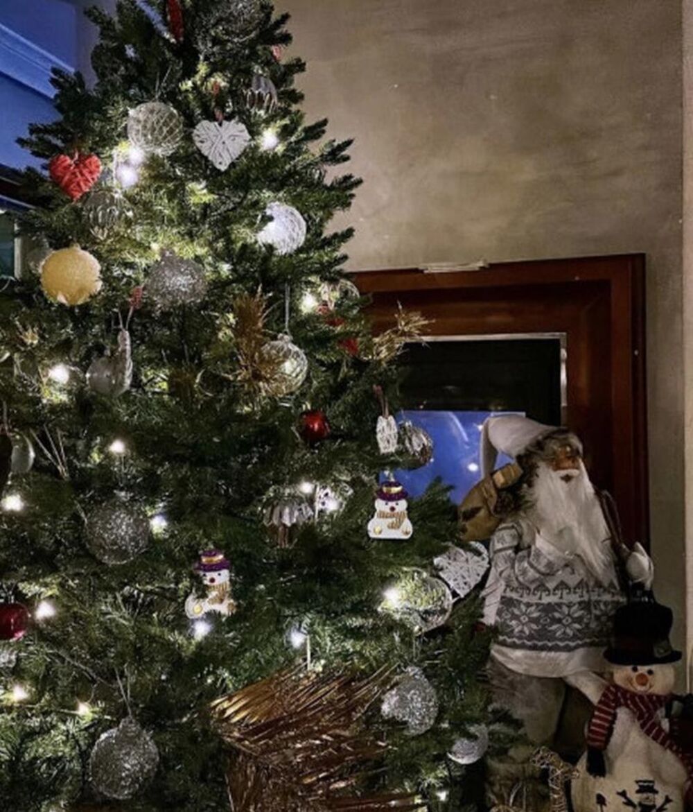 Novogodišnja jelka u vili Zdravka Čolića