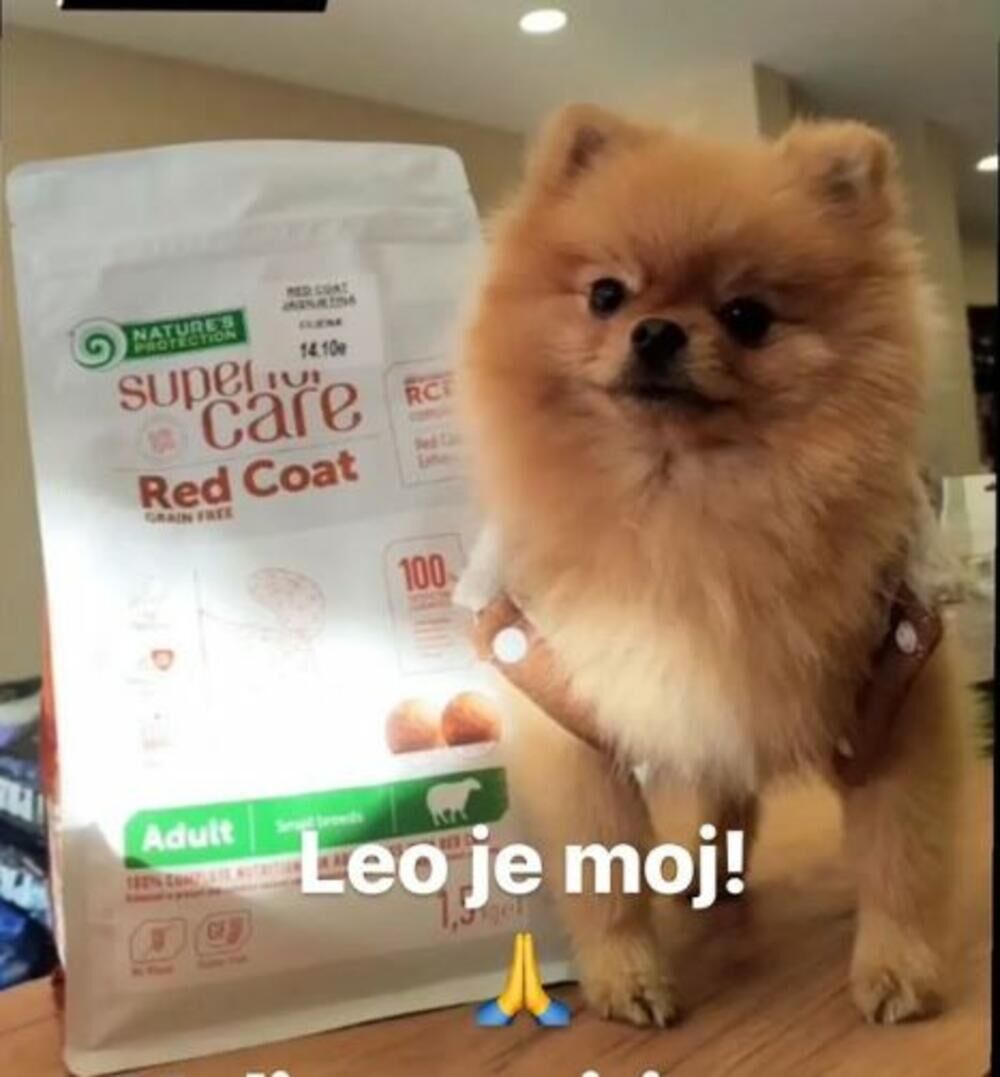 Leo je izgubljen u Starom Baru 