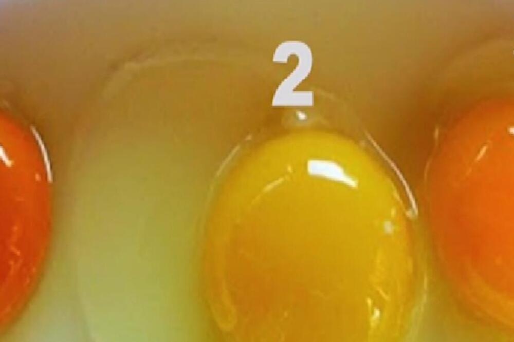 EVO KAKO DA PREPOZNATE NAJBOLJE JAJE NA OSNOVU BOJE ŽUMANCETA: Sve što znate PADA U VODU - ovo je ISTINA (VIDEO)