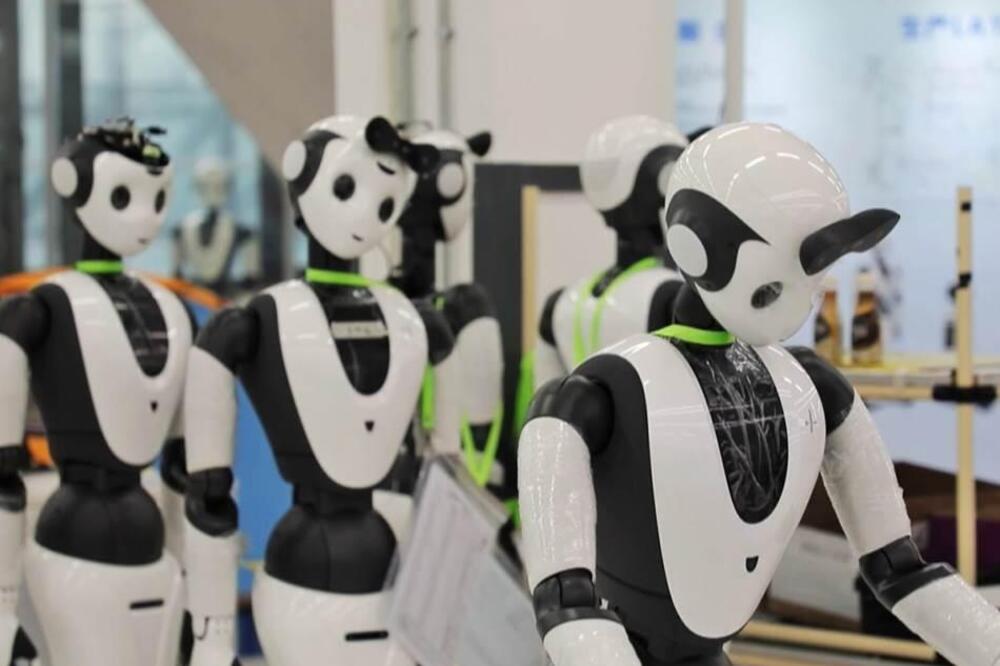 Nastanak novih zanimanja, novi trendovi ekonomskog razvoja