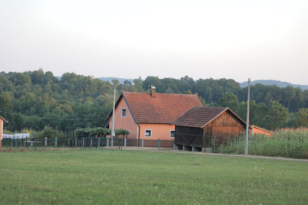 Mile Kitić