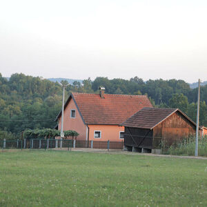 NEMAJU STRUJE I SIGNALA, ALI ZATO IMAJU KROMPIR I KOKOŠKE! Ovi ESTRADNJACI su GRAD zamenili sa DIVLJINOM!