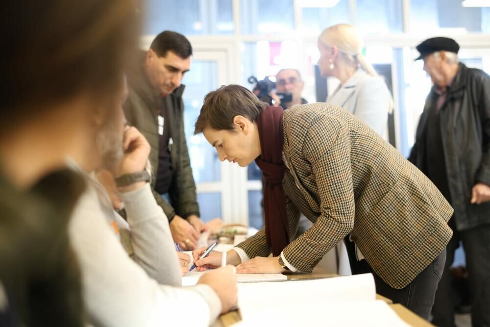 Glasanje, Ivica Dačić, Aleksandar Vučić, Boris Tadić, Ana Brnabić, Siniša Mali