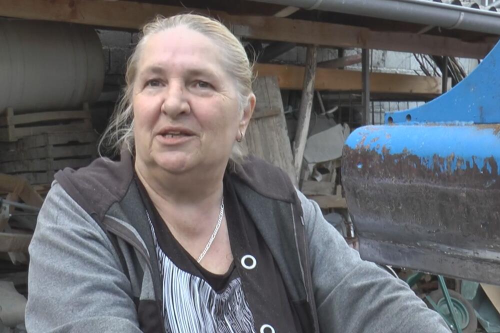 ONA JE ŽENA ZMAJ IZ ČAČANSKOG NASELJA LOZNICA: Borislava i komšiluk ostavila U ČUDU kada su videli ŠTA RADI