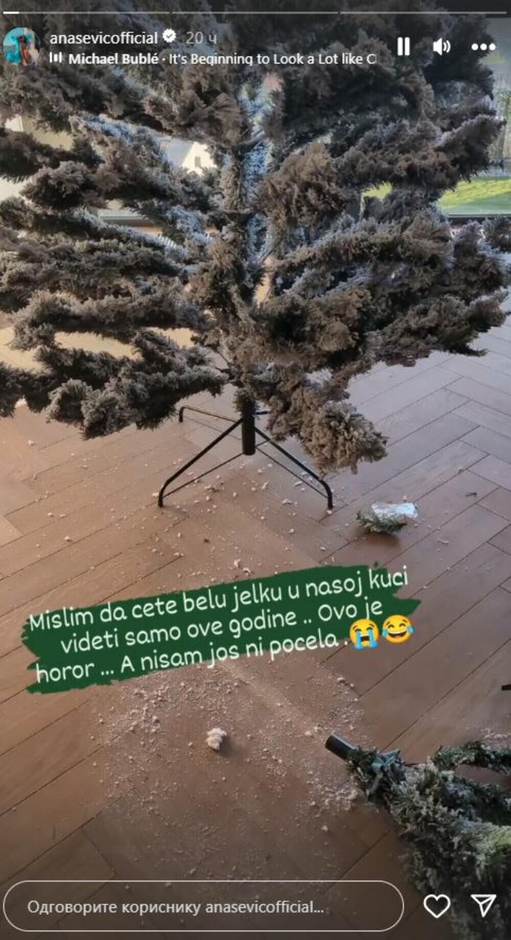 Ana Sević kiti jelku