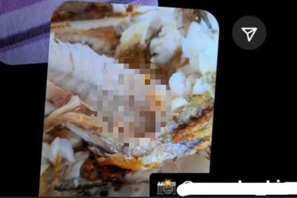 "HOĆU LI SE ZARAZITI?": Beograđanka zagrizla OSLIĆ, pa unutra ugledala nešto ODVRATNO, zgrozićete se! (FOTO)