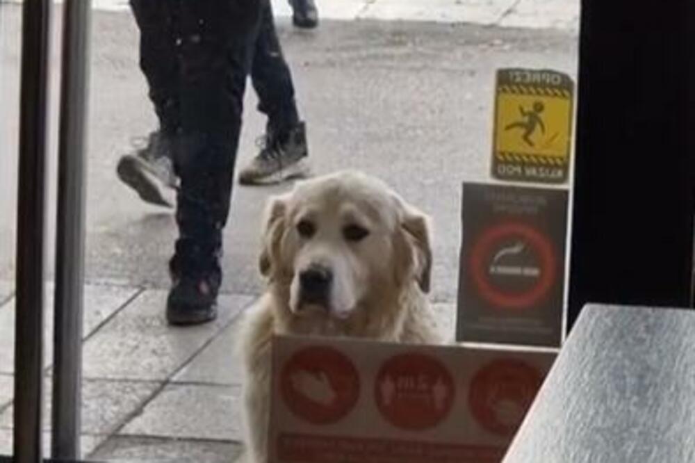 UROŠ IZ UŽICA JE GESTOM ODUŠEVIO CELU SRBIJU: Pogledajte samo šta je URADIO, kapa dole (VIDEO)