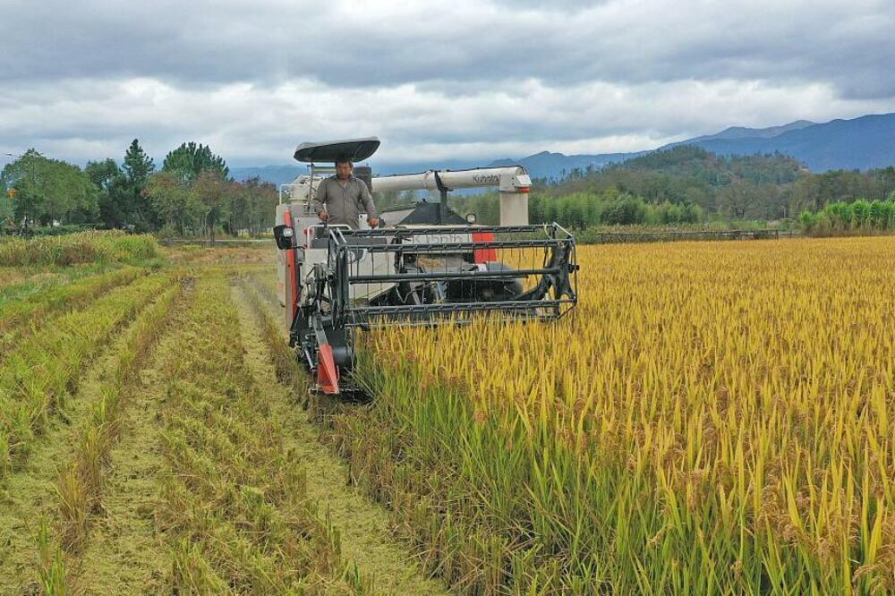 Si dao instrukcije za poljoprivrednu revitalizaciju