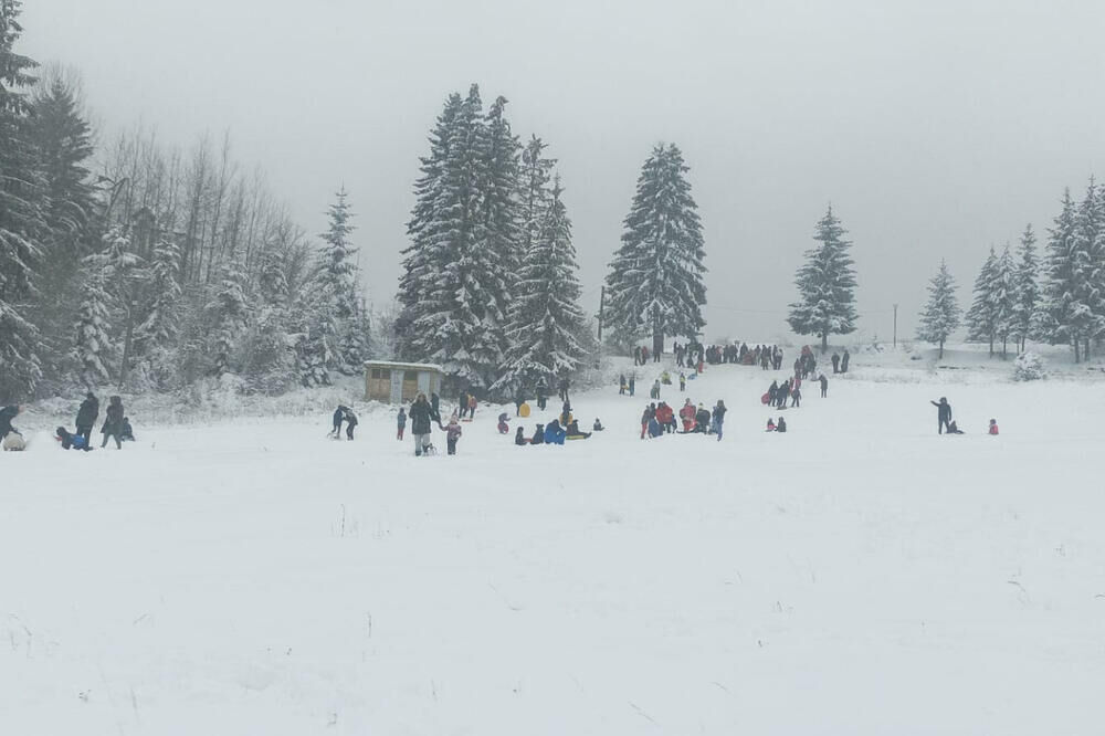 Ski staza na Tari