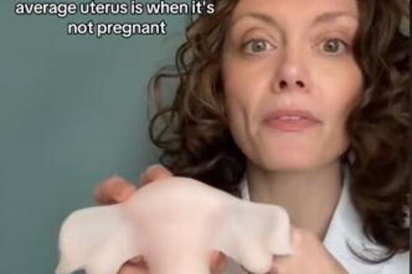 DOKTORKA POKAZALA KAKO IZGLEDA MATERICA PRE I POSLE POROĐAJA: Pašće vam VILICA zbog VELIČINE, ČETIRI PUTA JE VEĆA