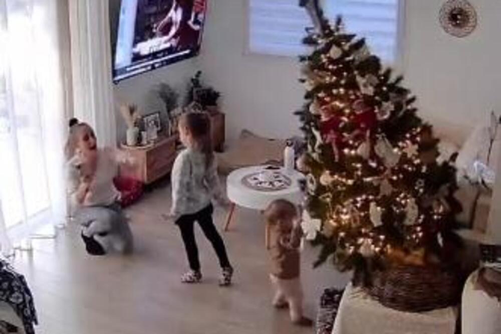 DEČAK JE ŠETAO PORED JELKE, A ONDA JE SVE STALO: Pretrnućete od STRAHA kada vidite šta je usledilo, u sekundi je...