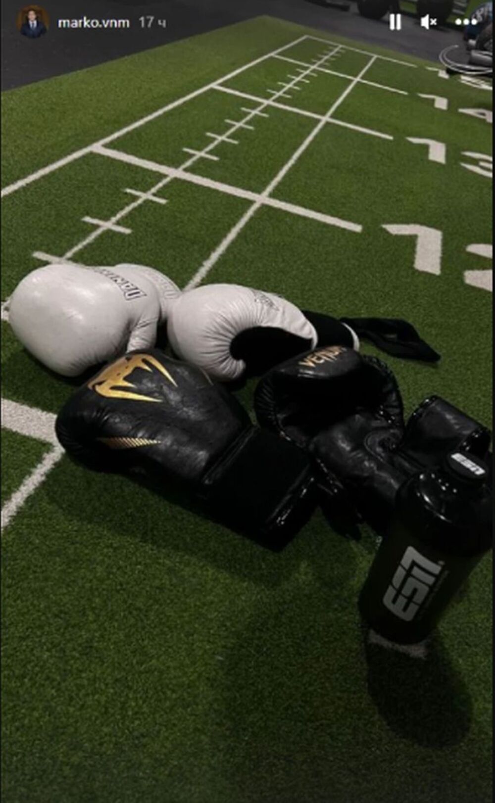 Sin Dragane Mirković pokazao kako se nosi sa bolom