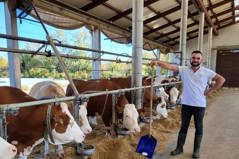 "SAMO DEDA SME DA MI KAŽE ŠTA MISLI": Ostavio DIREKTORSKU PLATU u Austriji da bi uzgajao KRAVE u Bosni, evo i ZAŠTO