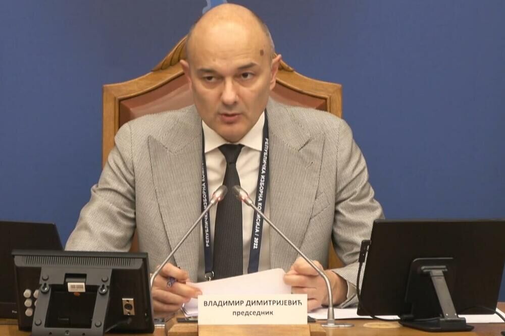 Vladimir Dimitrijević, RIK