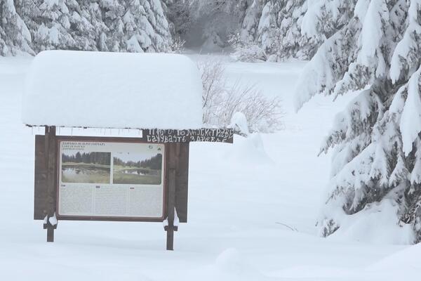 OVA SRPSKA PLANINA JE SUROVA, ALI PRELEPA: Svi pohrlili tamo, cene MNOGO PRISTUPAČNIJE nego na Kopaoniku (FOTO)