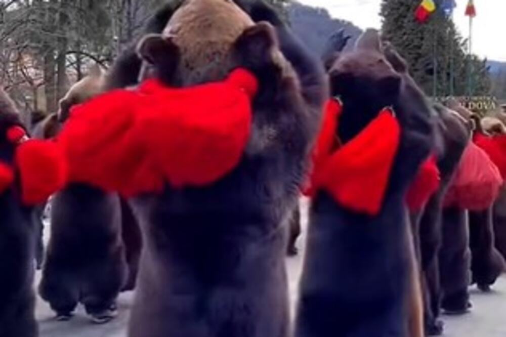 KAD VIDITE ŠTA RUMUNI RADE ZA BOŽIĆ PAŠĆETE SA STOLICE: Za ovaj stari običaj retko ko zna, a i dalje se POŠTUJE