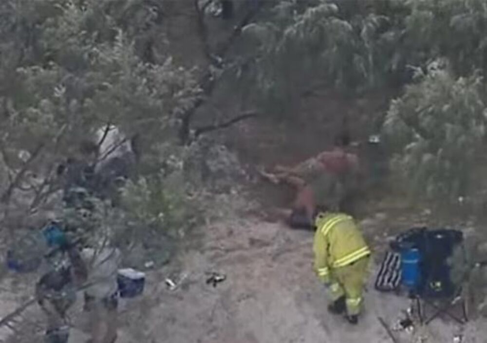 Spašavanje Džoša Tejlora