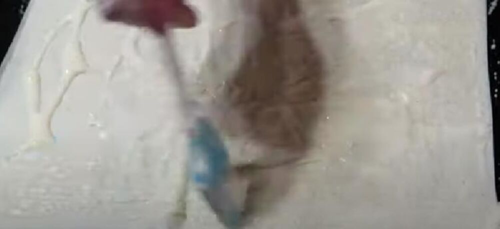 Filovanje posne čoko-višnja baklave